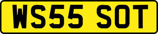 WS55SOT