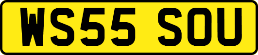 WS55SOU