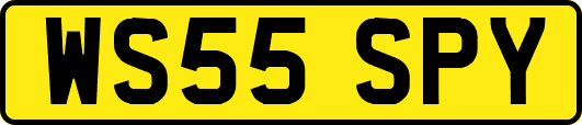 WS55SPY