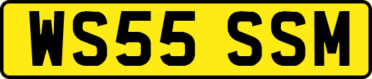 WS55SSM