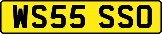 WS55SSO