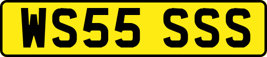 WS55SSS