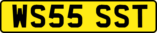 WS55SST