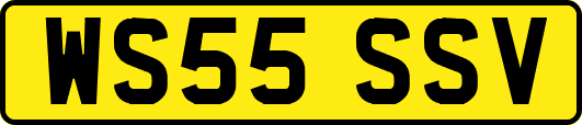 WS55SSV
