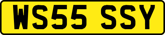 WS55SSY