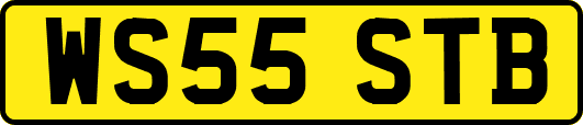 WS55STB