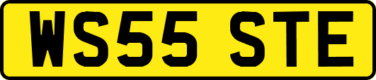 WS55STE