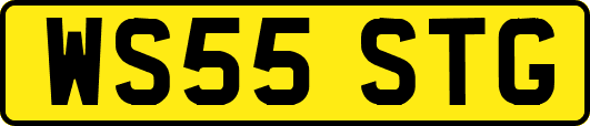 WS55STG