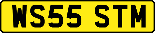 WS55STM