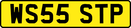 WS55STP