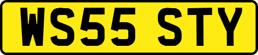 WS55STY
