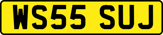 WS55SUJ
