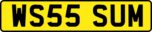 WS55SUM