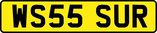 WS55SUR