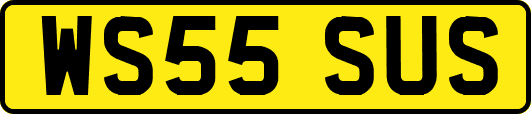 WS55SUS