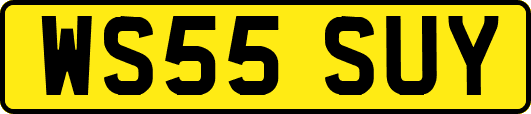 WS55SUY