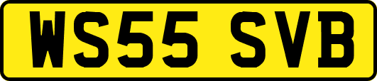 WS55SVB