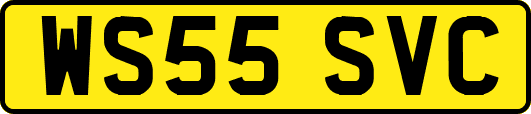 WS55SVC