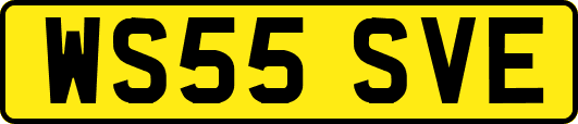 WS55SVE