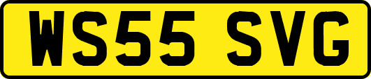 WS55SVG