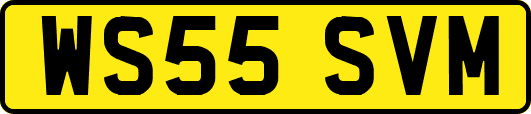 WS55SVM