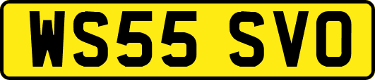 WS55SVO
