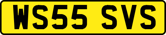 WS55SVS