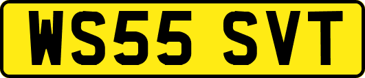 WS55SVT