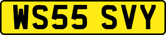 WS55SVY