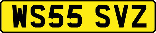 WS55SVZ