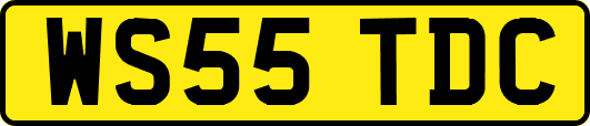 WS55TDC