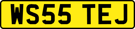 WS55TEJ