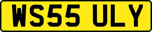 WS55ULY