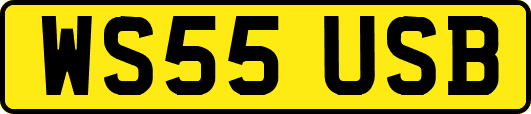 WS55USB