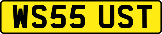 WS55UST