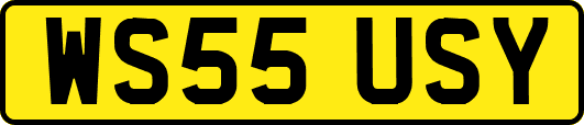 WS55USY