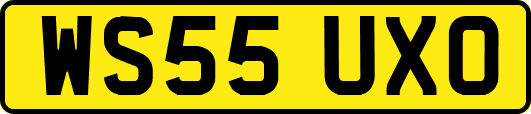 WS55UXO