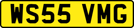 WS55VMG