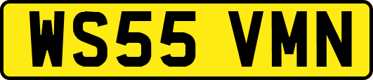 WS55VMN