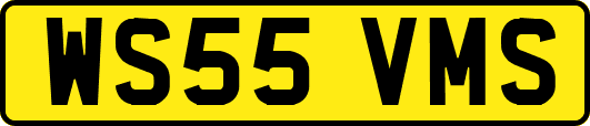 WS55VMS