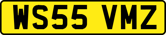 WS55VMZ