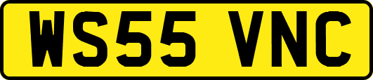 WS55VNC