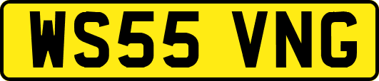 WS55VNG