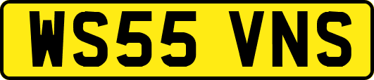 WS55VNS