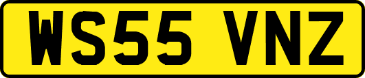 WS55VNZ