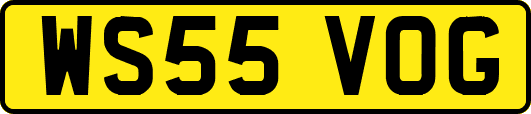 WS55VOG