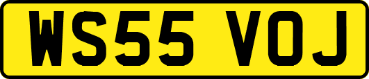 WS55VOJ