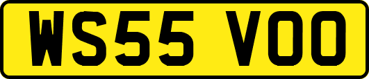 WS55VOO