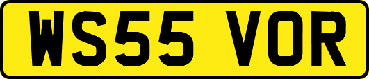 WS55VOR