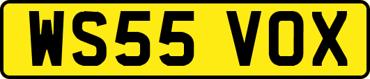 WS55VOX